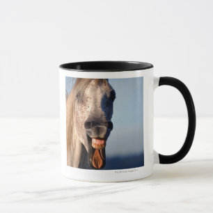 lachendes Pferd Tasse