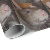 lachendes Rattenpapier Geschenkpapier (Rolleneckpunkt)