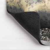 lachendes Siegel, niedliches kicherndes Siegel, Mousepad (Ecke)