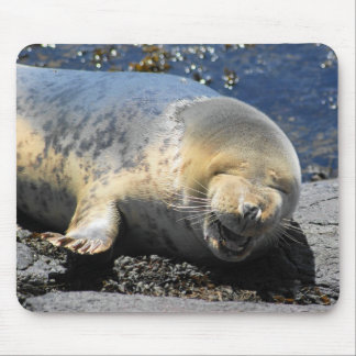lachendes Siegel, niedliches kicherndes Siegel, Mousepad