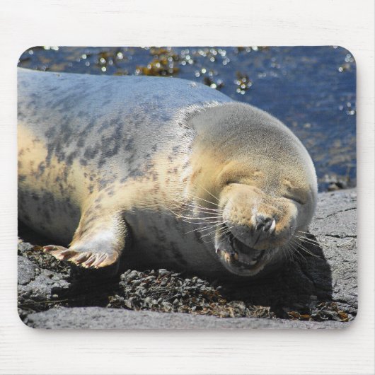 lachendes Siegel, niedliches kicherndes Siegel, Mousepad (Vorne)