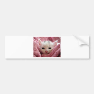 Lächerlich Niedliche White Kitten in einer rosa De Autoaufkleber