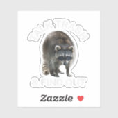 Lächerliche Raccoon & Raccoon Kleider sprechen Mül Aufkleber (Blatt)