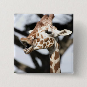 Lachhaft gesichtige Giraffe, San Francisco Button