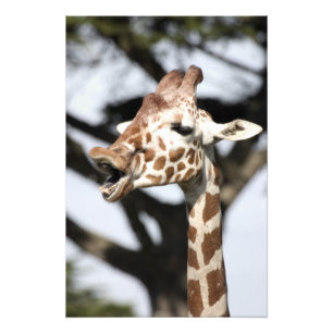 Lachhaft gesichtige Giraffe, San Francisco Fotodruck