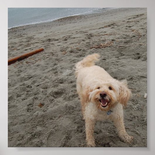 lachingchuck2 poster (Vorne)