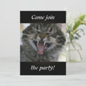 Lachkatze (Stehend Vorderseite)