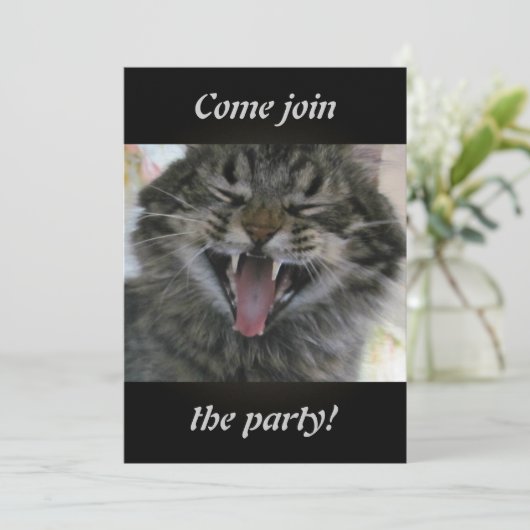 Lachkatze (Stehend Vorderseite)