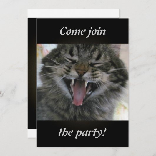 Lachkatze (Vorne/Hinten)