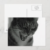 Lachkatze Postkarte (Vorne/Hinten)