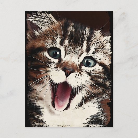 Lachkatze Postkarte (Vorderseite)