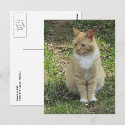 Lachkatze Postkarte (Vorne/Hinten)