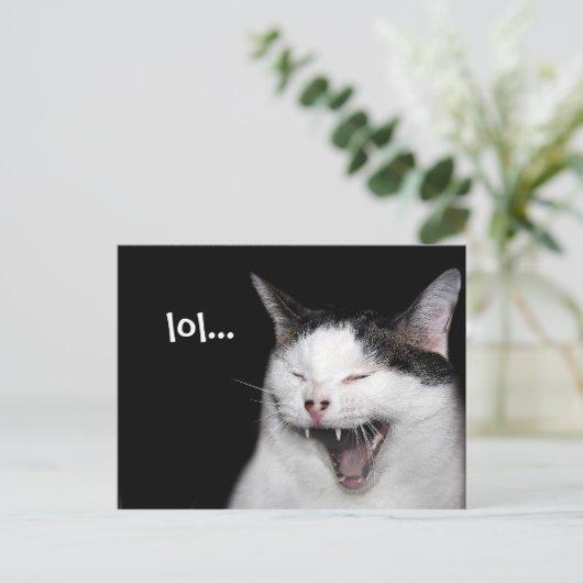 Lachkatze Postkarte (Stehend Vorderseite)