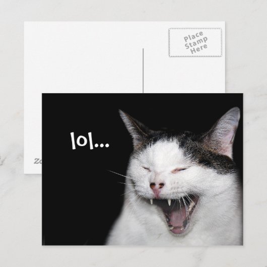 Lachkatze Postkarte (Vorne/Hinten)