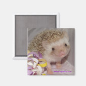 Lächle! Magnet (Vorderseite/Rückseite)