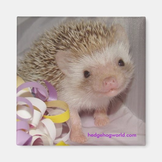 Lächle! Magnet (Vorne)