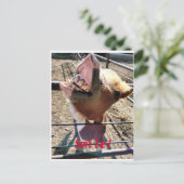 Lächle! Postkarte (Stehend Vorderseite)