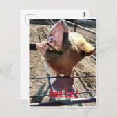 Lächle! Postkarte (Vorne/Hinten)