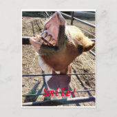 Lächle! Postkarte (Vorderseite)