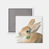 Lächle, wenn du das isst magnet (Vorderseite/Rückseite)