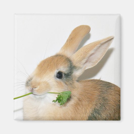 Lächle, wenn du das isst magnet (Vorne)