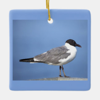 Lachmöwe-Foto-Schmuck Keramikornament