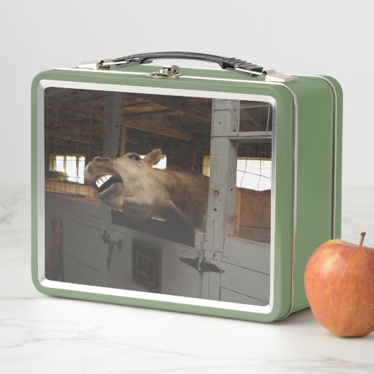 Lachpferd Metall Brotdose (Beispiel)