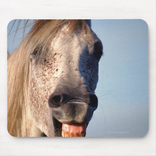 Lachpferd Mousepad (Vorne)
