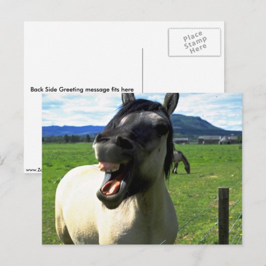 Lachpferd Postkarte (Vorne/Hinten)
