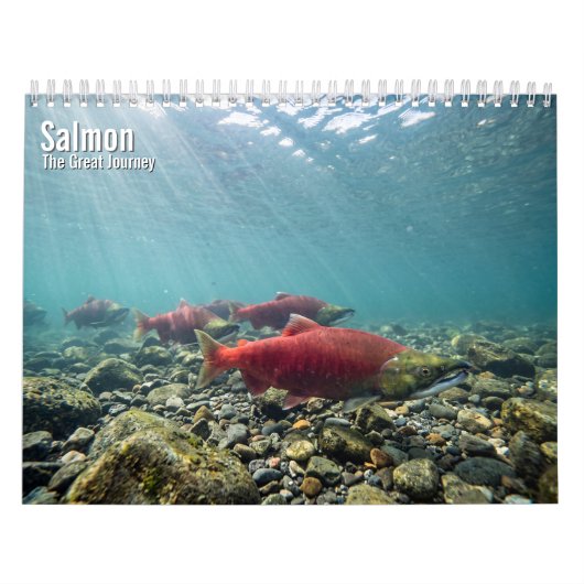 Lachs 2027 Wandkalender (Titelbild)