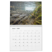 Lachs 2027 Wandkalender (Mär 2027)