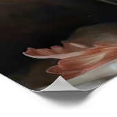 Lachs Amaryllis Blume Art Print Poster (Ecke)