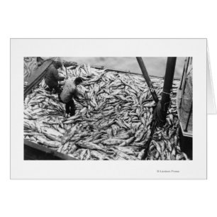 Lachs aus Fischereifahrzeugen entladen Fotografie