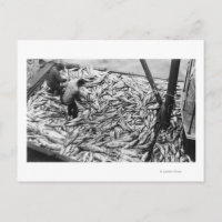 Lachs aus Fischereifahrzeugen entladen Fotografie