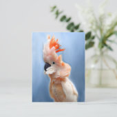 Lachs Created Cockatoo Postkarten (Stehend Vorderseite)
