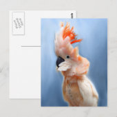 Lachs Created Cockatoo Postkarten (Vorne/Hinten)