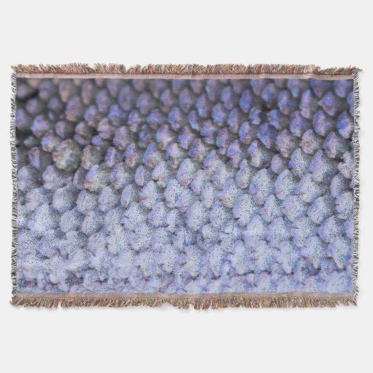 Lachs Decke (Vorderseite)