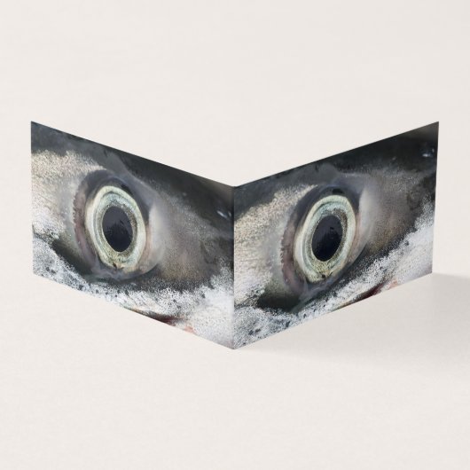 Lachs Eye (Vorderseite)