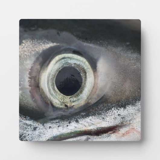 Lachs Eye Fotoplatte (Vorderseite)