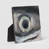 Lachs Eye Fotoplatte (Vorderseite)