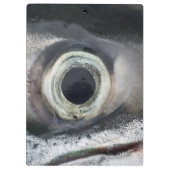 Lachs Eye Klemmbrett (Rückseite)