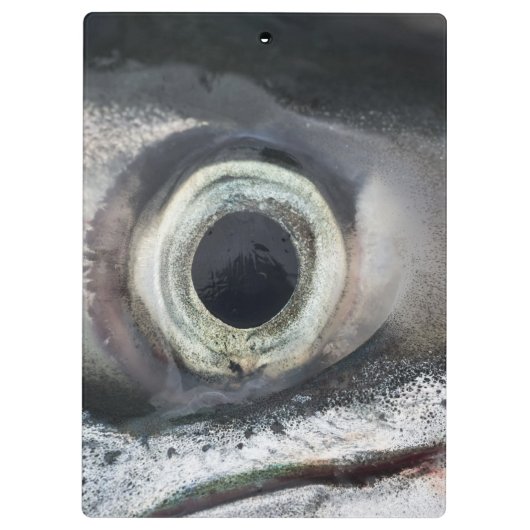 Lachs Eye Klemmbrett (Rückseite)