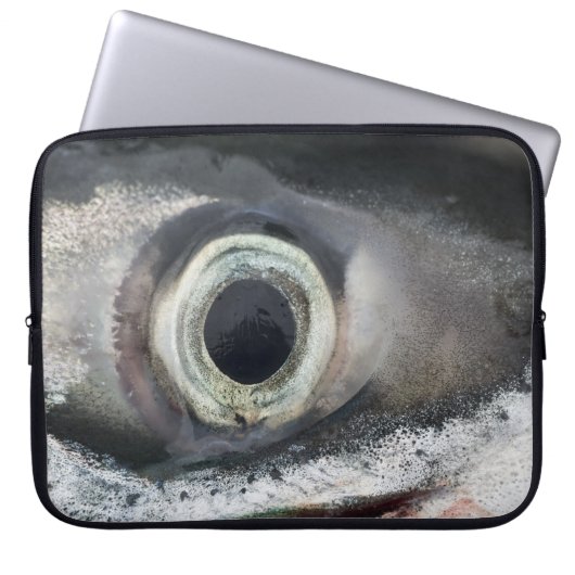 Lachs Eye Laptopschutzhülle (Vorderseite)
