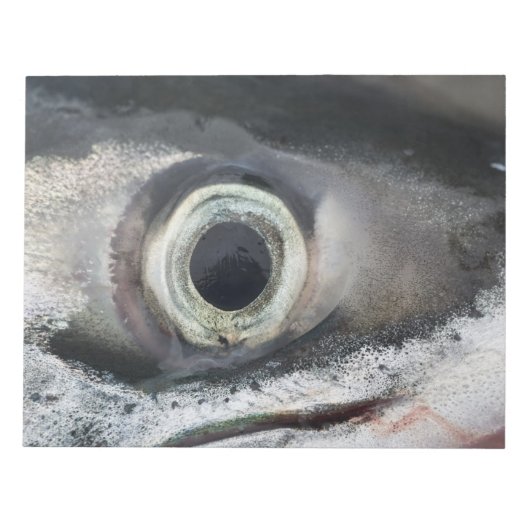 Lachs Eye Notizblock (Vorderseite)