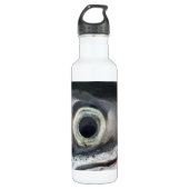 Lachs Eye Trinkflasche (Vorderseite)