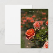 Lachs Farbige Rose Mitteilungskarte (Vorne/Hinten)