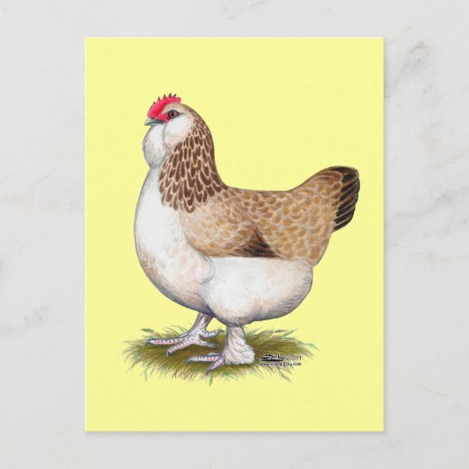 Lachs Faverolle Hen Postkarte (Vorderseite)