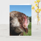 Lachs Faverolle Pullet Karte (Gelbe Blume)