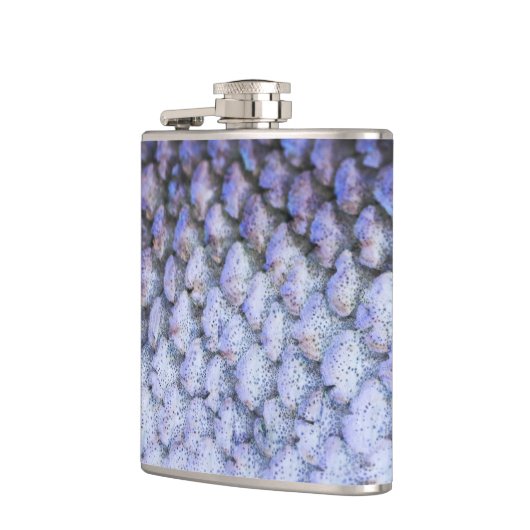 Lachs Flachmann (Links)