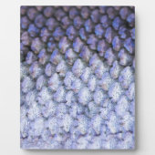 Lachs Fotoplatte (Vorderseite)